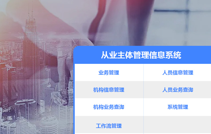 从业主体管理信息系统